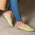 Babrogue Vert Anis
